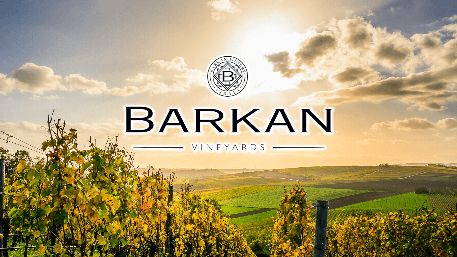 Barkan Wine Cellars IsraelWein.de Christine Awiszus