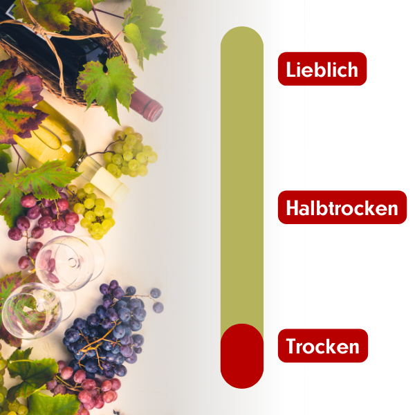 Hafner - Otto the Yellow MusCAT