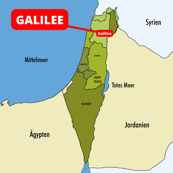 
                  
                    Galil Yiron - Israelwein
                  
                