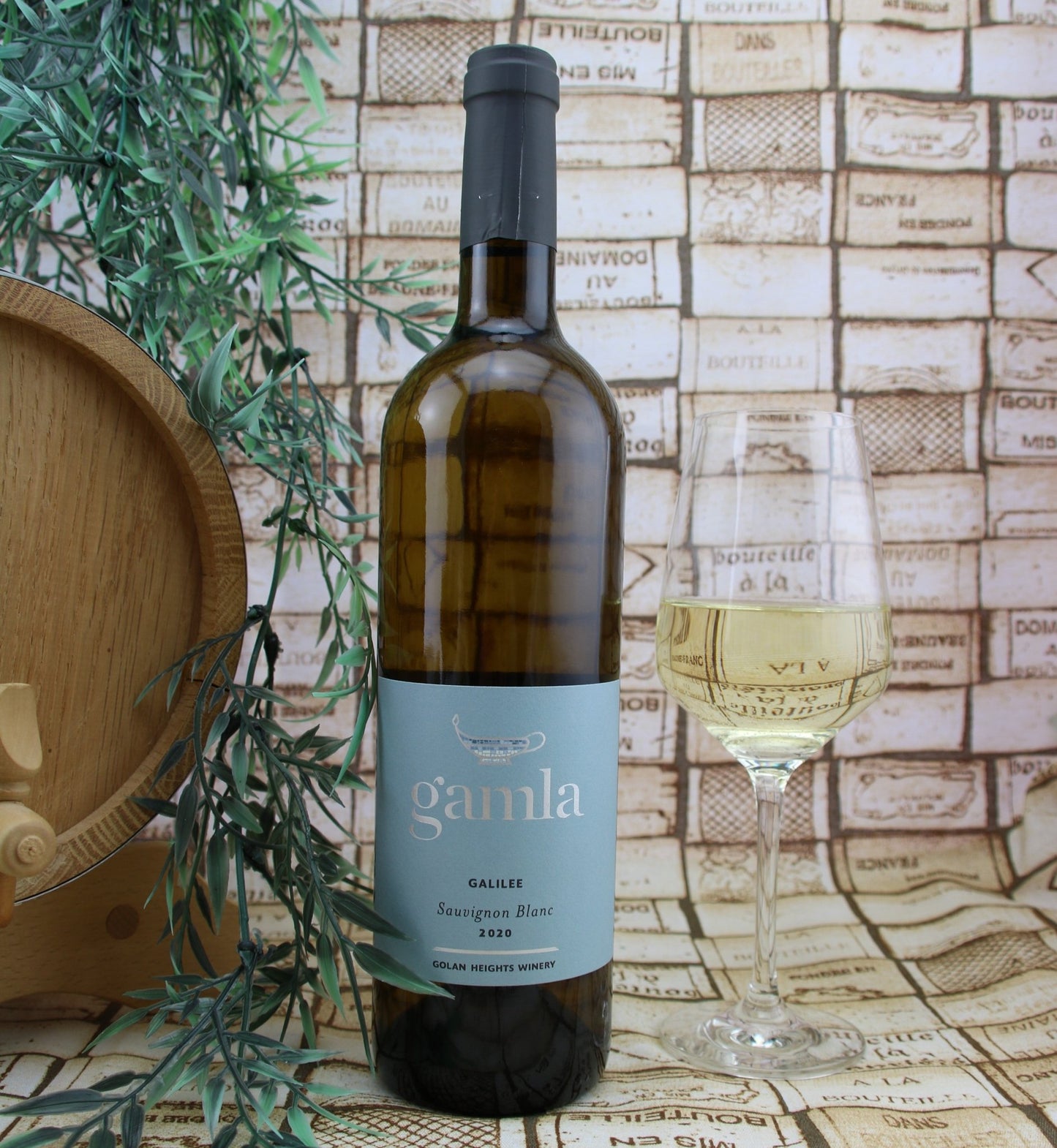 
                  
                    Gamla Sauvignon Blanc - Israelwein
                  
                